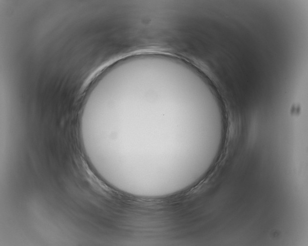 X0000113201356200909100912