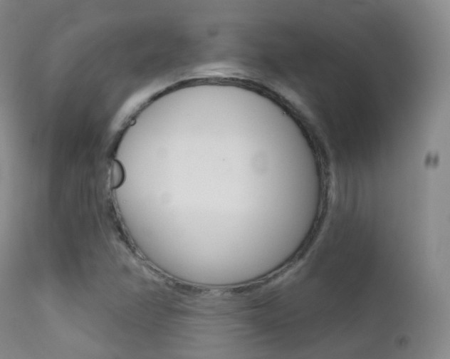 X0000113201358200909100912