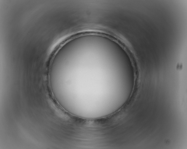 X0000113201360200909100912