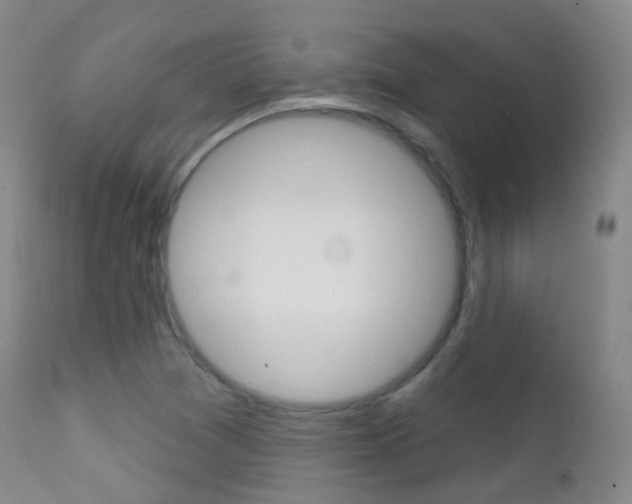 X0000113201361200909100912