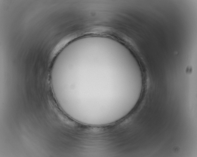 X0000113201362200909100912