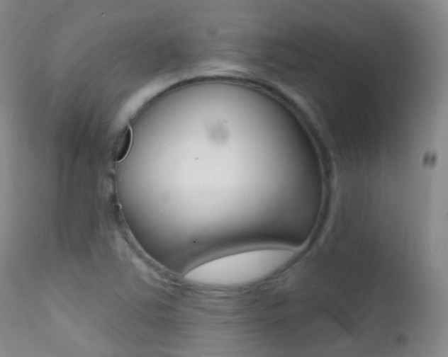 X0000113201363200909100912