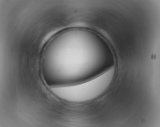 X0000113201364200909100912