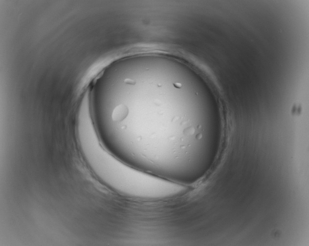 X0000113201365200909100912
