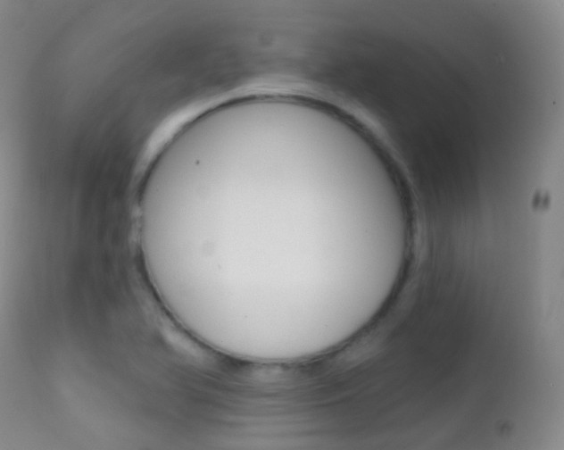 X0000113201366200909100912