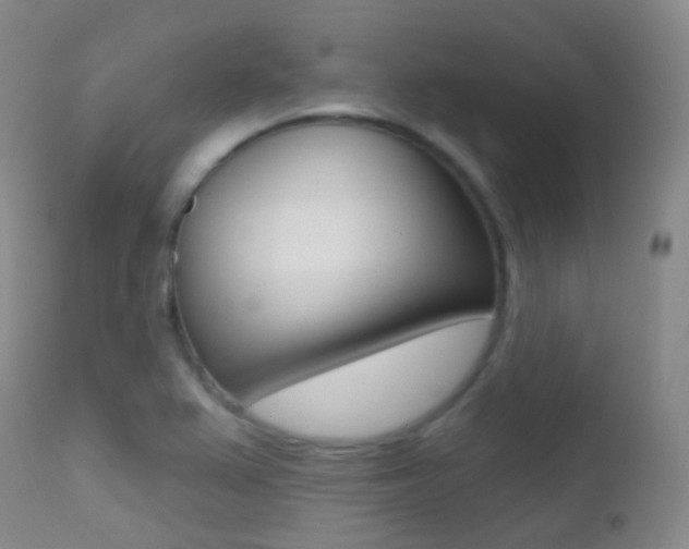 X0000113201367200909100912