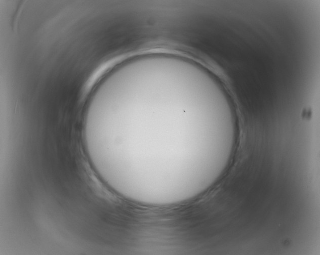 X0000113201368200909100912