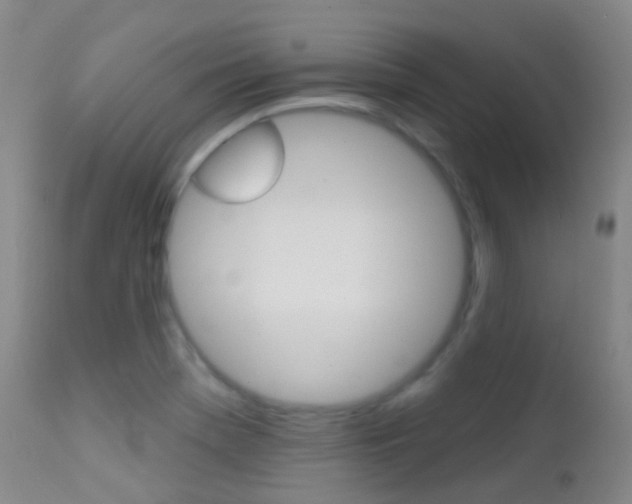 X0000113201369200909100912