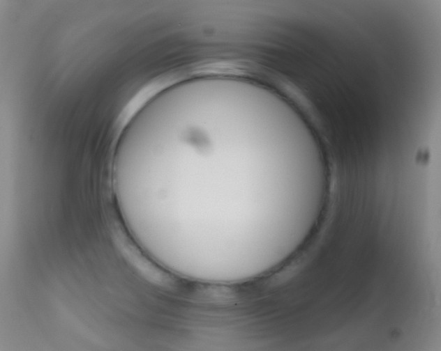 X0000113201370200909100912