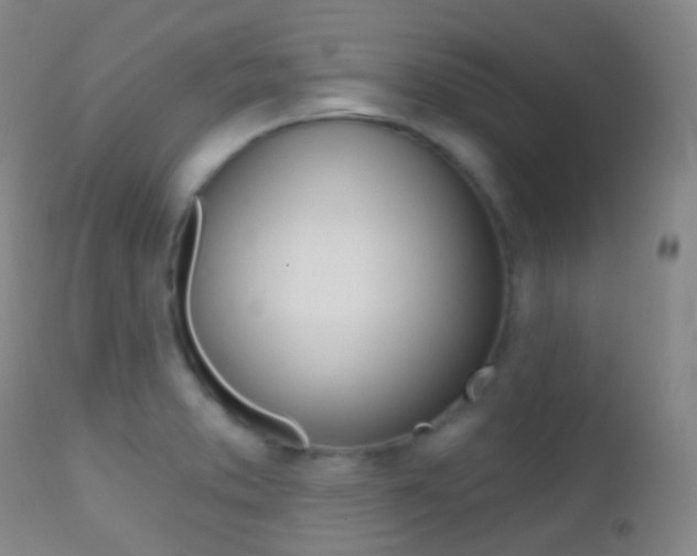 X0000113201373200909100912