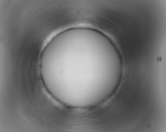 X0000113201374200909100912
