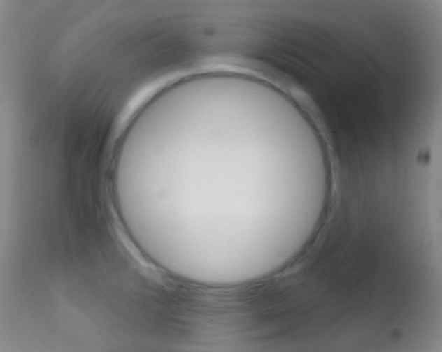 X0000113201376200909100912
