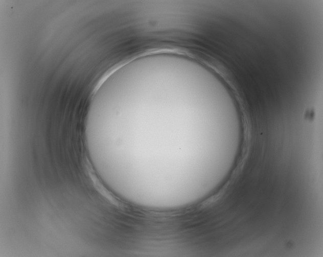 X0000113201377200909100912