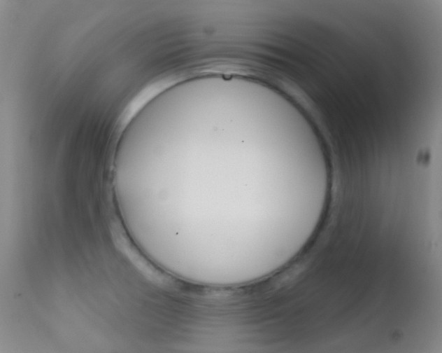 X0000113201378200909100912