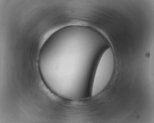 X0000113201379200909100912
