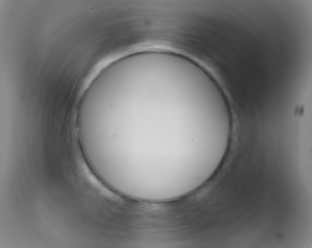 X0000113201382200909100912