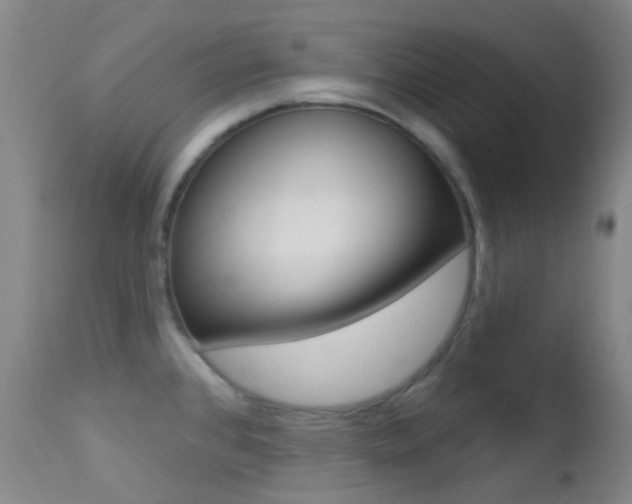 X0000113201384200909100912