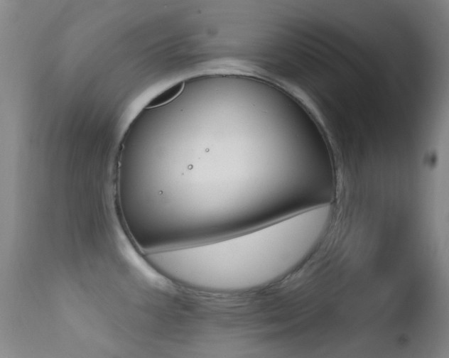 X0000113201387200909100912