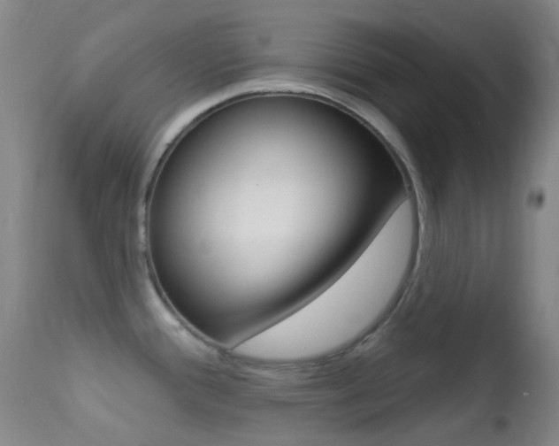 X0000113201388200909100912