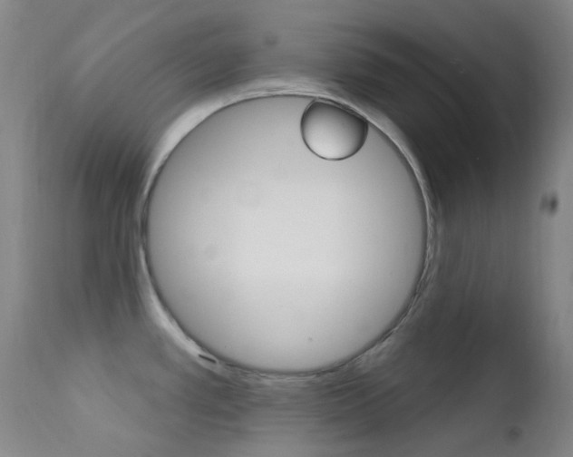 X0000113201389200909100912