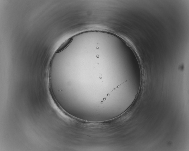 X0000113201391200909100912
