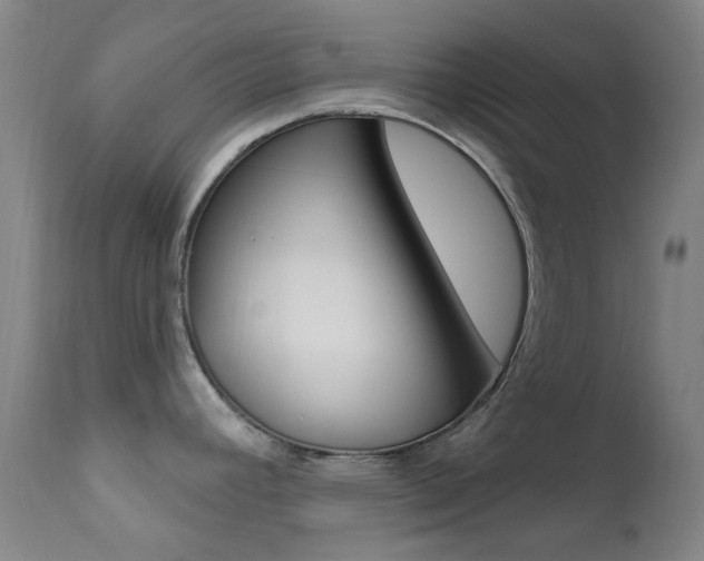 X0000113201392200909100912