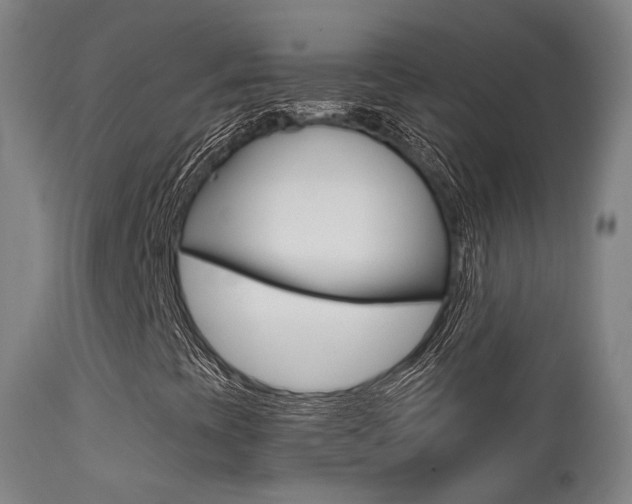 X0000113201393200909100911