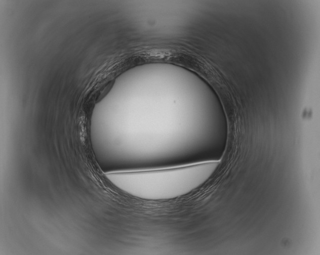 X0000113201394200909100911