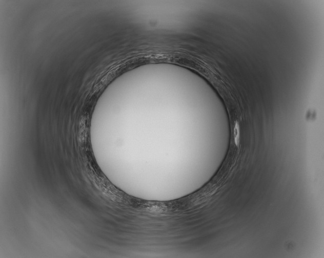 X0000113201395200909100911