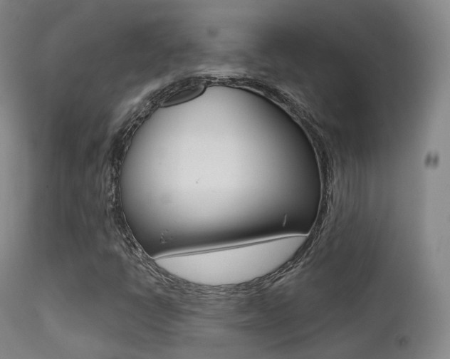 X0000113201398200909100911