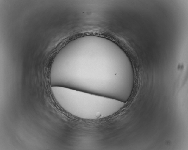X0000113201399200909100911