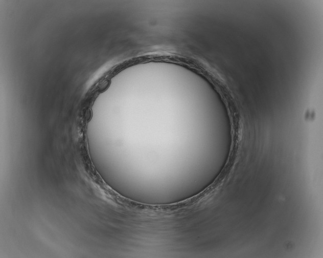 X0000113201400200909100911