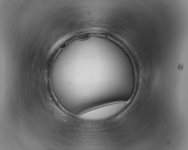 X0000113201402200909100911