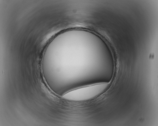 X0000113201404200909100911