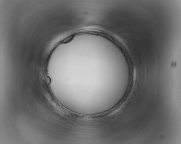 X0000113201405200909100911