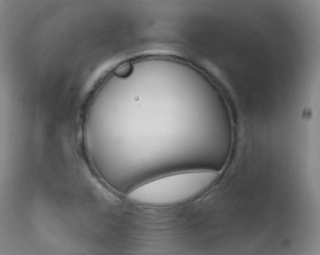 X0000113201408200909100911