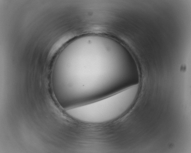 X0000113201410200909100911