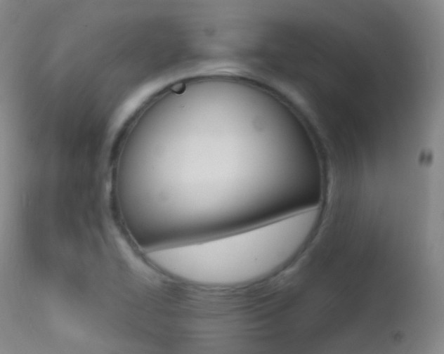X0000113201414200909100911