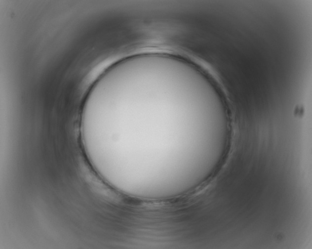X0000113201415200909100911