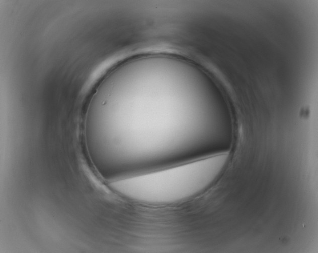 X0000113201416200909100911