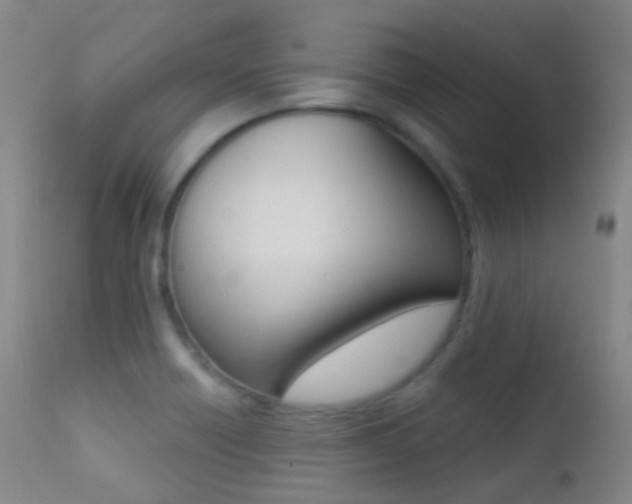 X0000113201418200909100911
