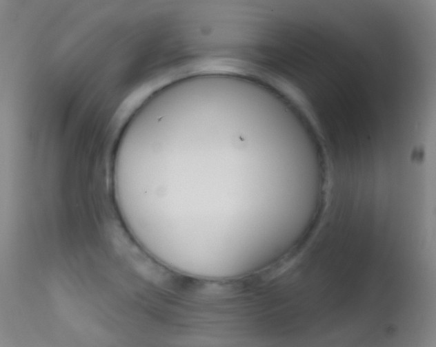 X0000113201419200909100911