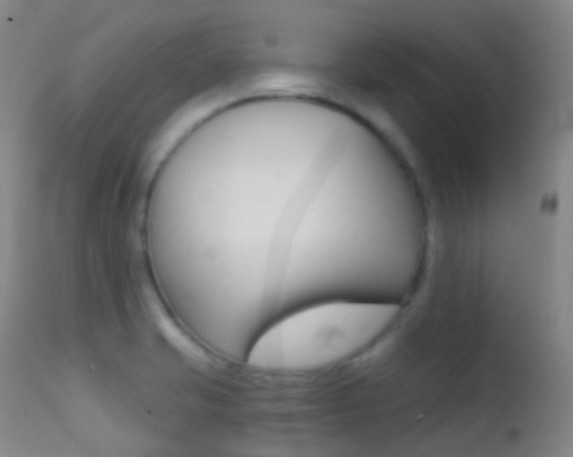 X0000113201421200909100911
