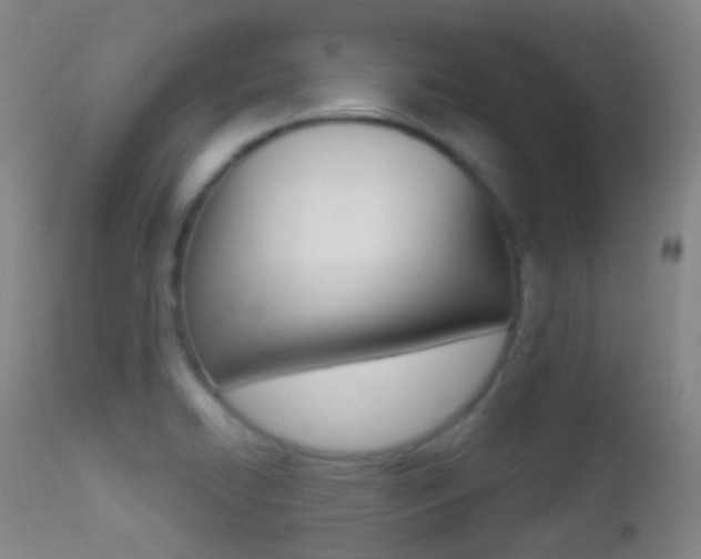 X0000113201422200909100911