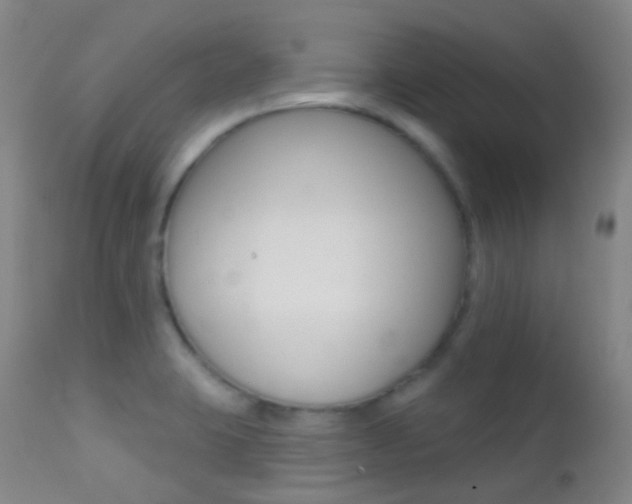 X0000113201423200909100912