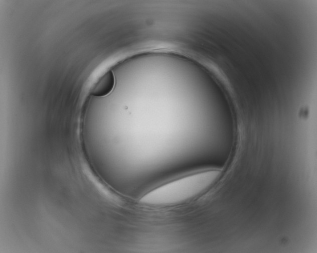 X0000113201424200909100912