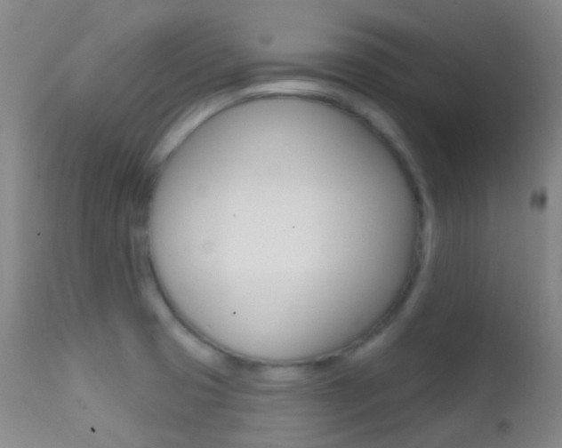X0000113201425200909100912