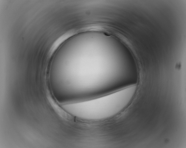X0000113201426200909100912