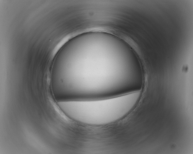 X0000113201428200909100912