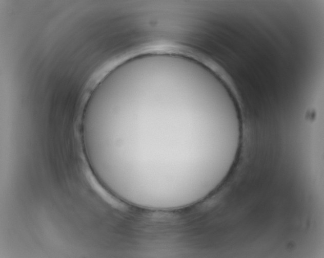 X0000113201429200909100912